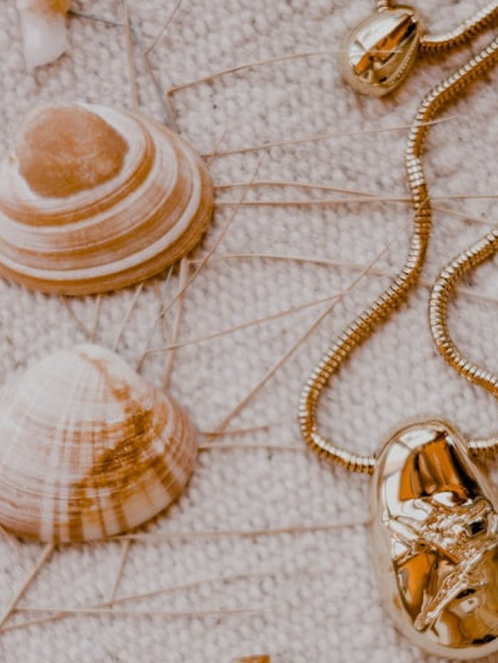 Collar de conchas