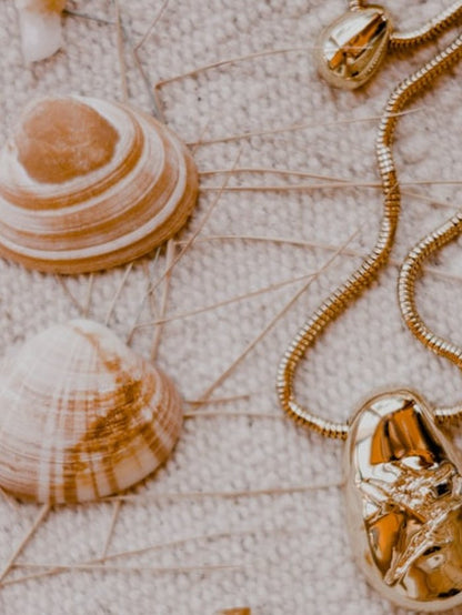 Collar de conchas