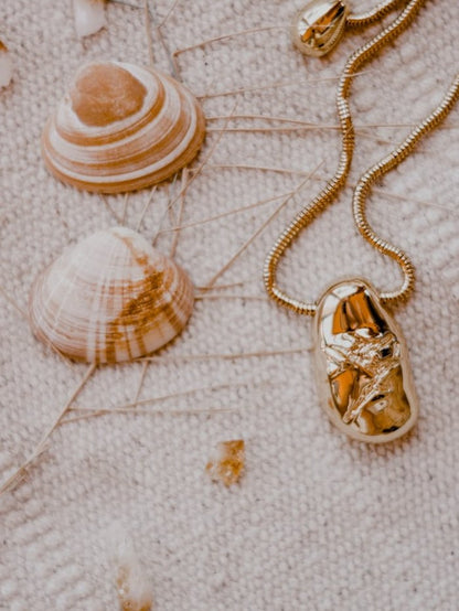 Collar de conchas