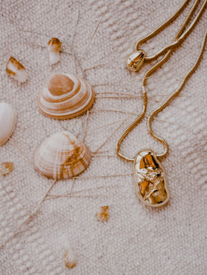 Collar de conchas